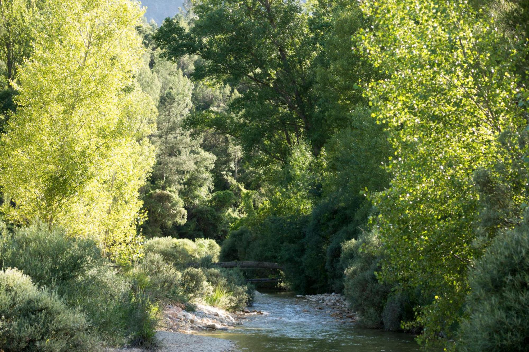 Casas Rurales Vado Del Rio Tus Cortijo Prados Екстер'єр фото