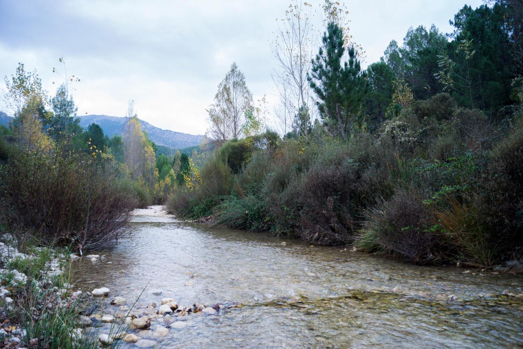 Casas Rurales Vado Del Rio Tus Cortijo Prados Екстер'єр фото